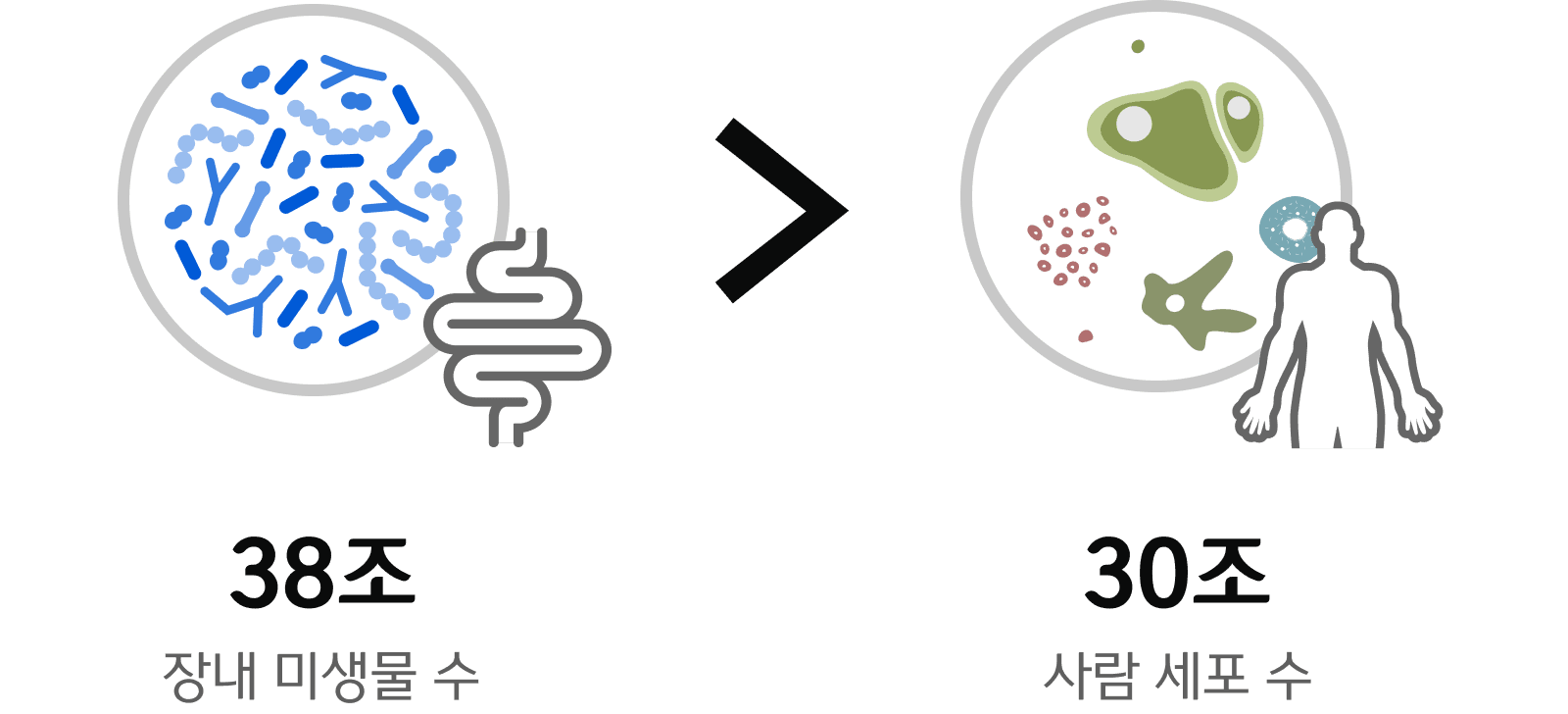 smilegut_icon1
