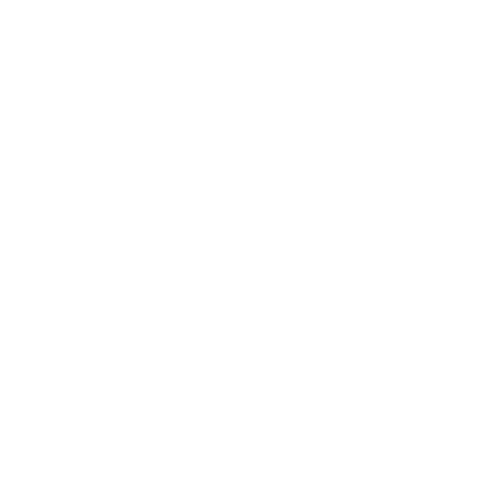 smilegut_icon5