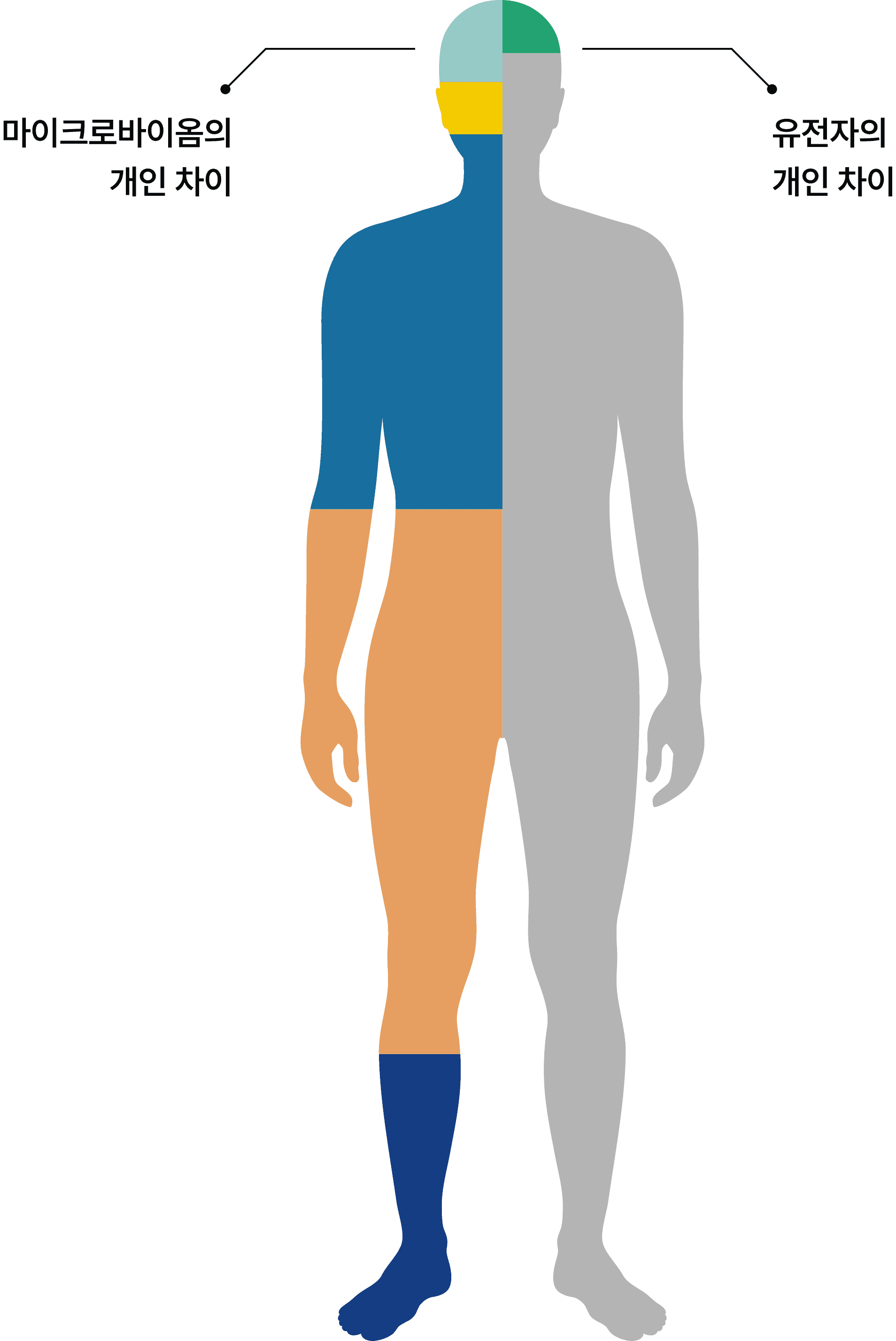 gene